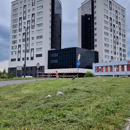 وردة اليجا * Sarajevo